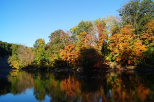 Fall Colors Along the Cuyahoga River 
