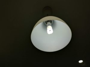 Overhead light with fluorescent bulb.
