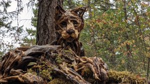 View larger photo: Driftwood sculpture of a cougar by Tanya Bub, located on the trail at the Malahat Skywalk on Vancouver Island British Columbia