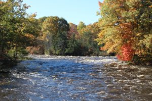 River and early autumn trees.