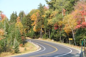 A bend in the road in early autumn.