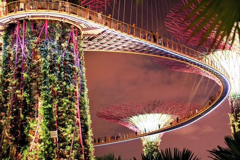 Singapore trees Gardens by the Bay