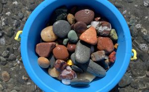 Collections Rocks In A Blue Bucket