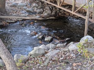 Water under the bridge