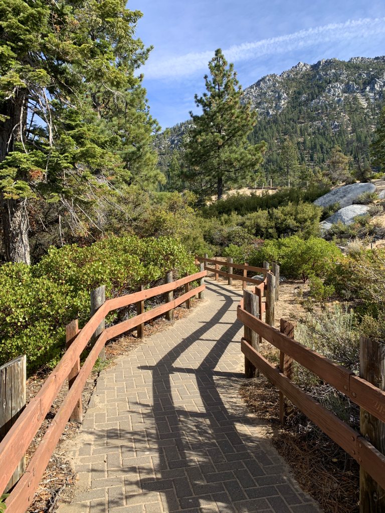 Trail Path Through The Forest