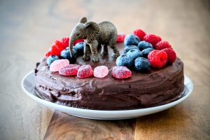 Vegan birthday cake topped with fruit, gumdrops, and an elephant figure.