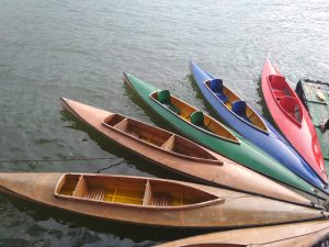 Kayaks on the water.
