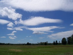 Michigan prairie