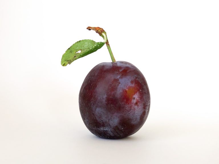 Plum on a white background.