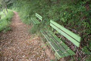 Green bench in the mountains