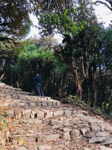 Nepal Hills Travelling Rest 