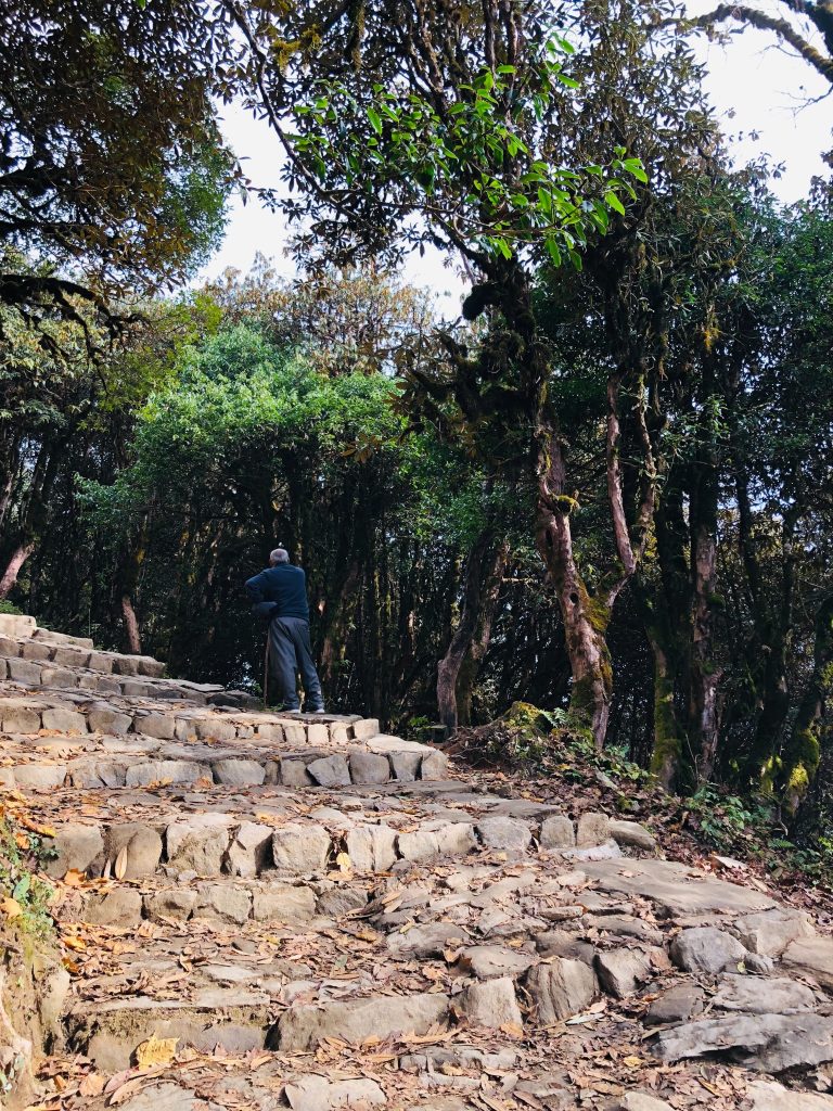 Nepal Hills Travelling Rest