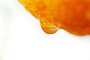 Extreme close-up of a water droplet on a Seville orange