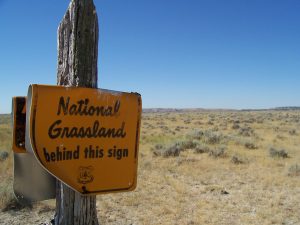 Old sign out on the desert that says "National Grassland Beyond This Point"