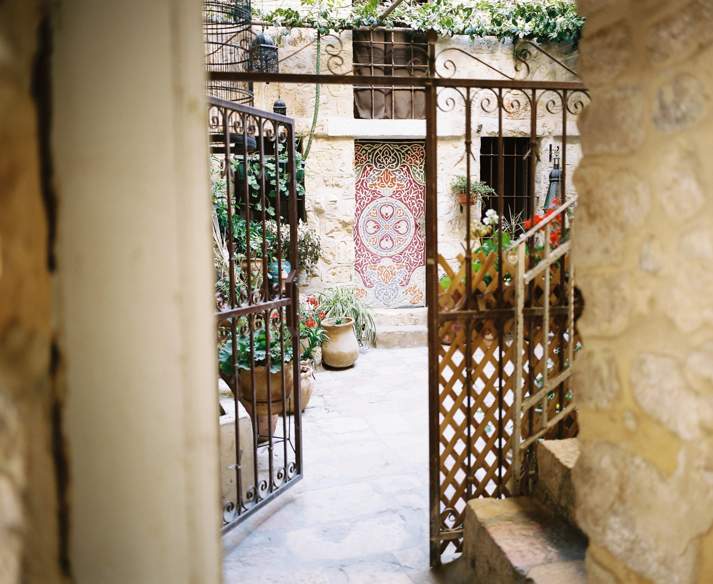 Looking through a gate, into a Jerusalem courtyard with plants and a decorated door.