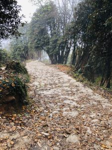 Hills Walking Way, Stone Way of Nepal