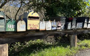 Colorful mailboxes in a row