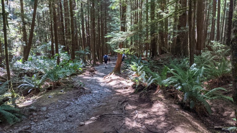 On the Trail to Mystic Beach near Victoria, British Columbia, Canada