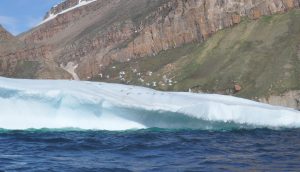 Birds taking off from iceberg in North Star Bay, Greenland
