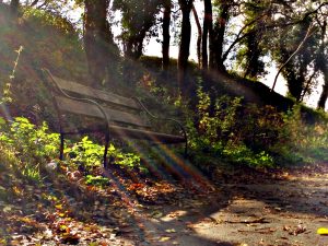 Park bench (with lens flare)