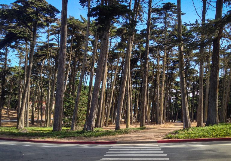 San Francisco Presidio walking trail