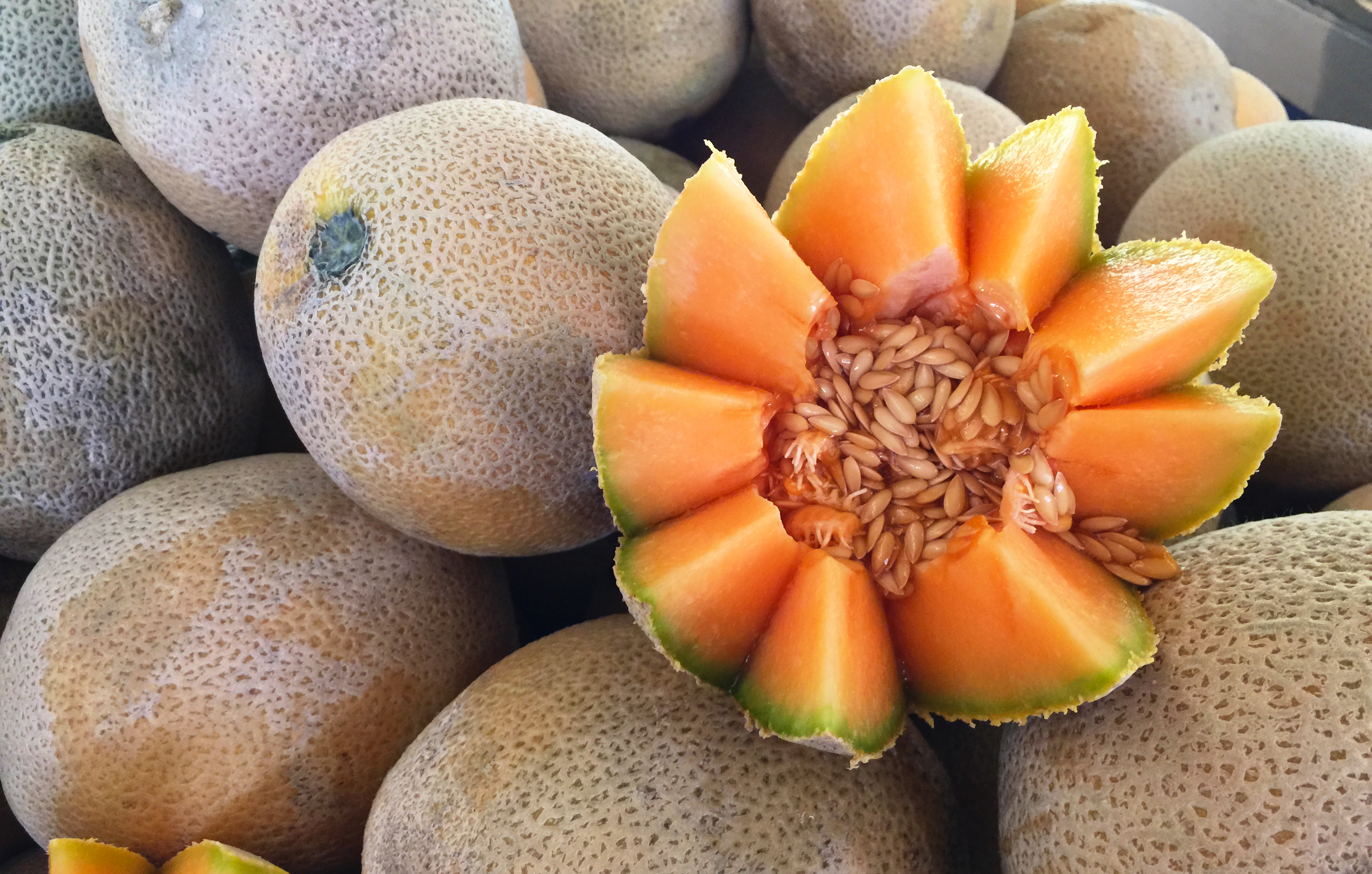 Fresh cut cantaloupe with seeds