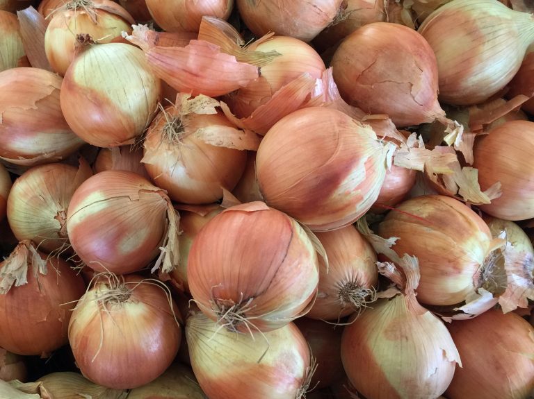 Farmers’ Market Yellow Onions