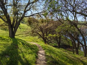 A trail along Del Valle Lake