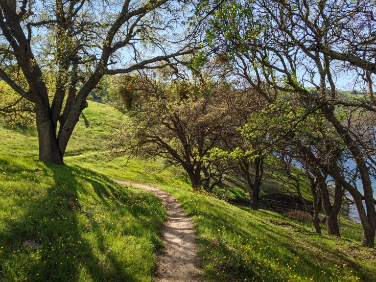 A trail along Del Valle Lake