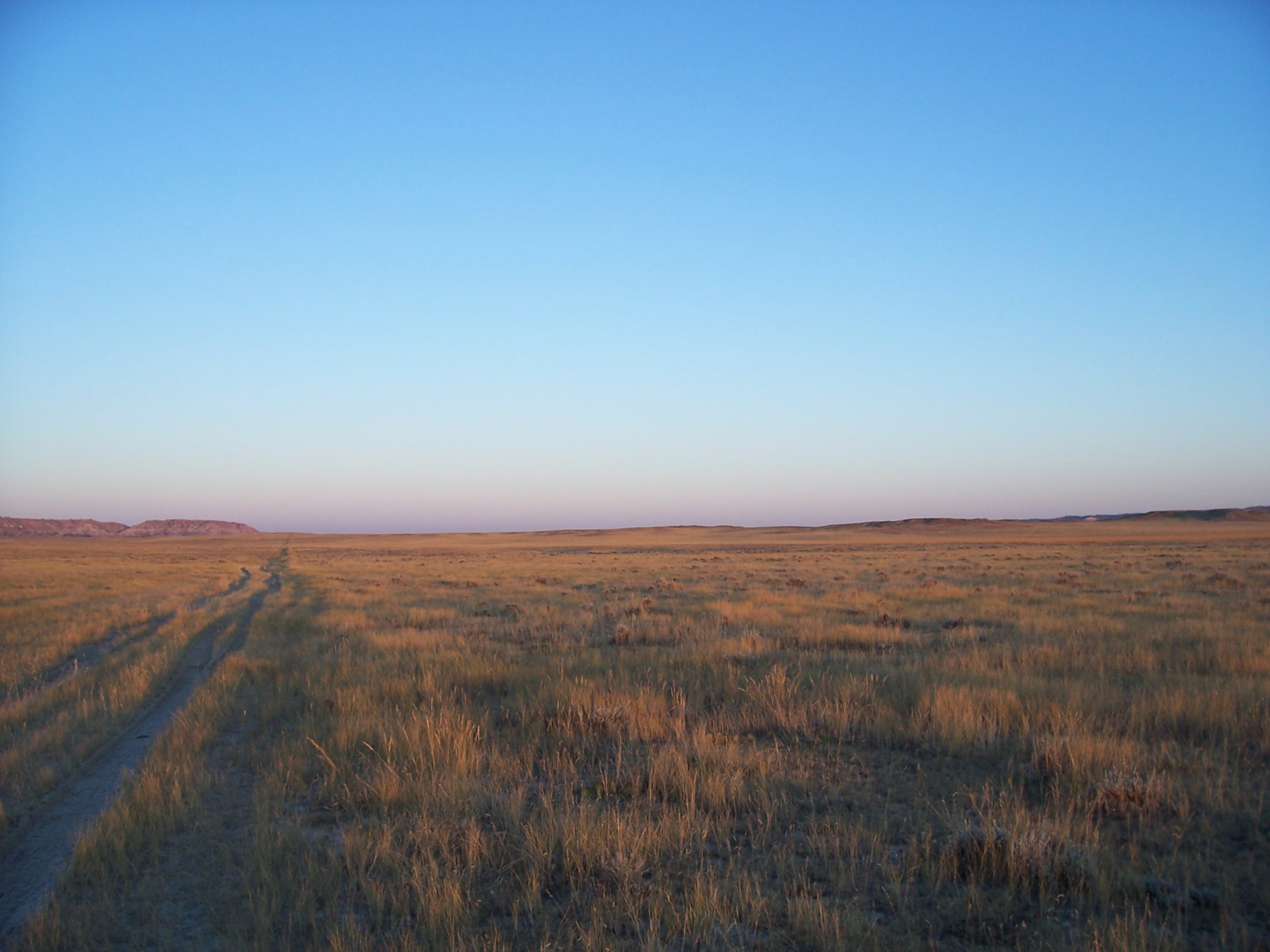 Dusty trail leading off to a desert horizon