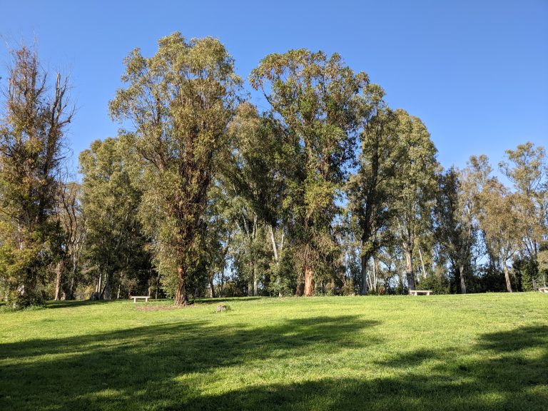 A park in Rome