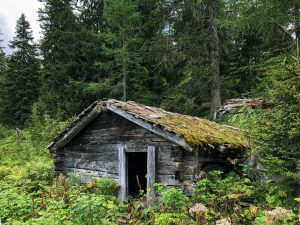 Abandoned hut in the woods