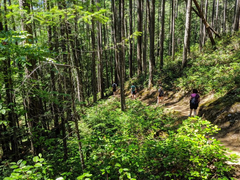 Four Hikers on a trail in the Golstream Provincial Park on Vancouver Island in British Columbia Canada