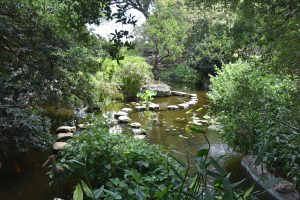 Oasis at Zilker Gardens in Austin, Texas