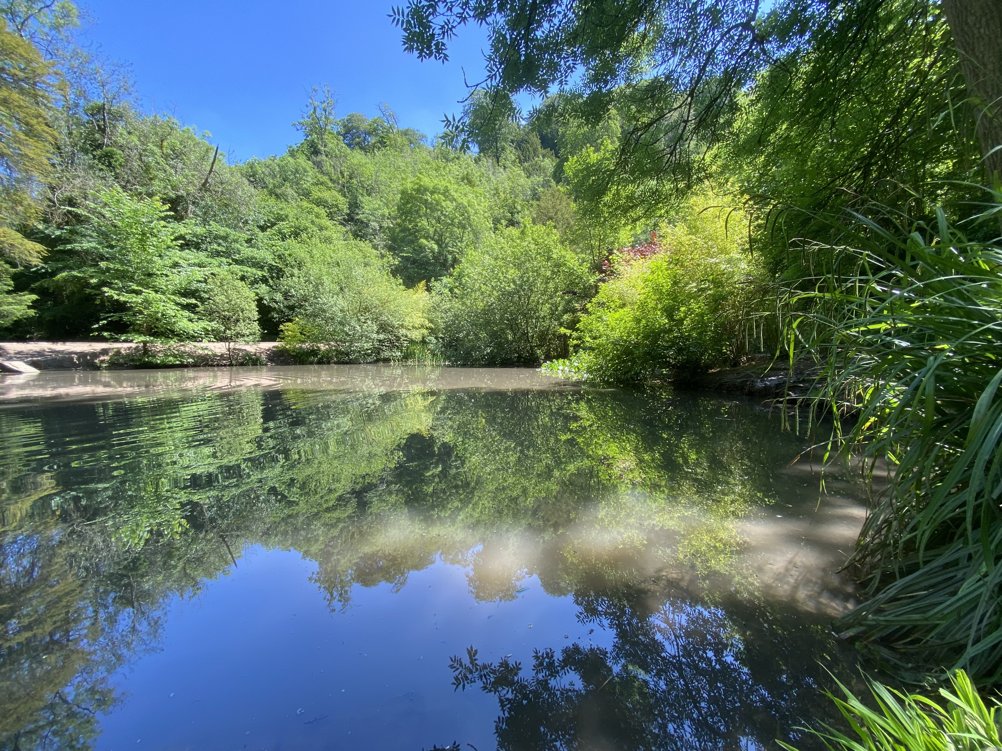 Small lake in a woodland setting