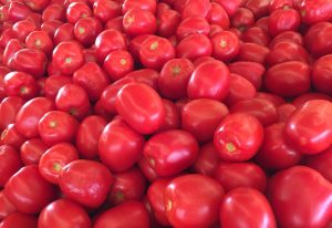 Red Tomatoes