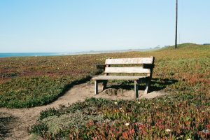 Park bench near the ocean in California
