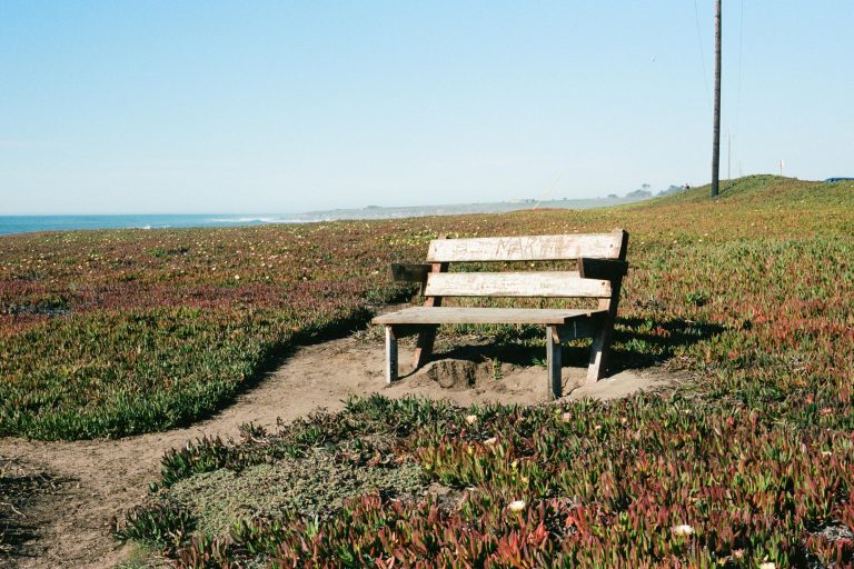 Park bench near the ocean in California