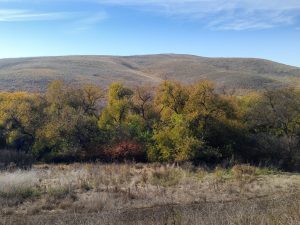 East Bay hills in the fall