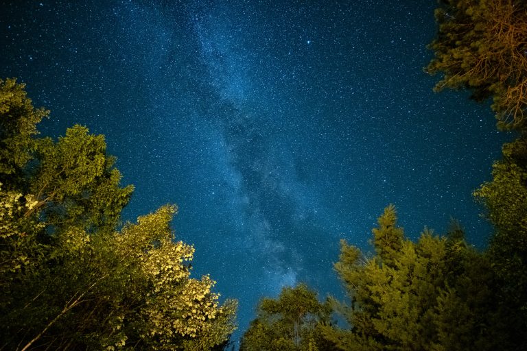 The milky way galaxy shines bright above some trees in the forest