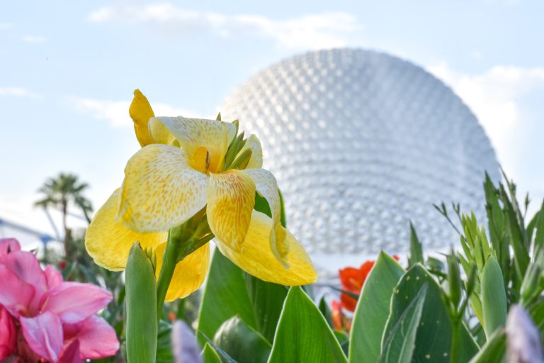 EPCOT Flower and Garden Festival