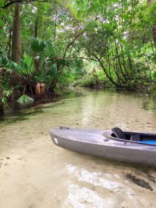 Kayak in a shallow creek through the woods