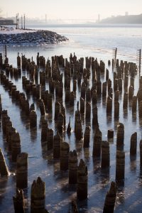 Old dock pilings in the ice on the Hudson River in Yonkers, NY