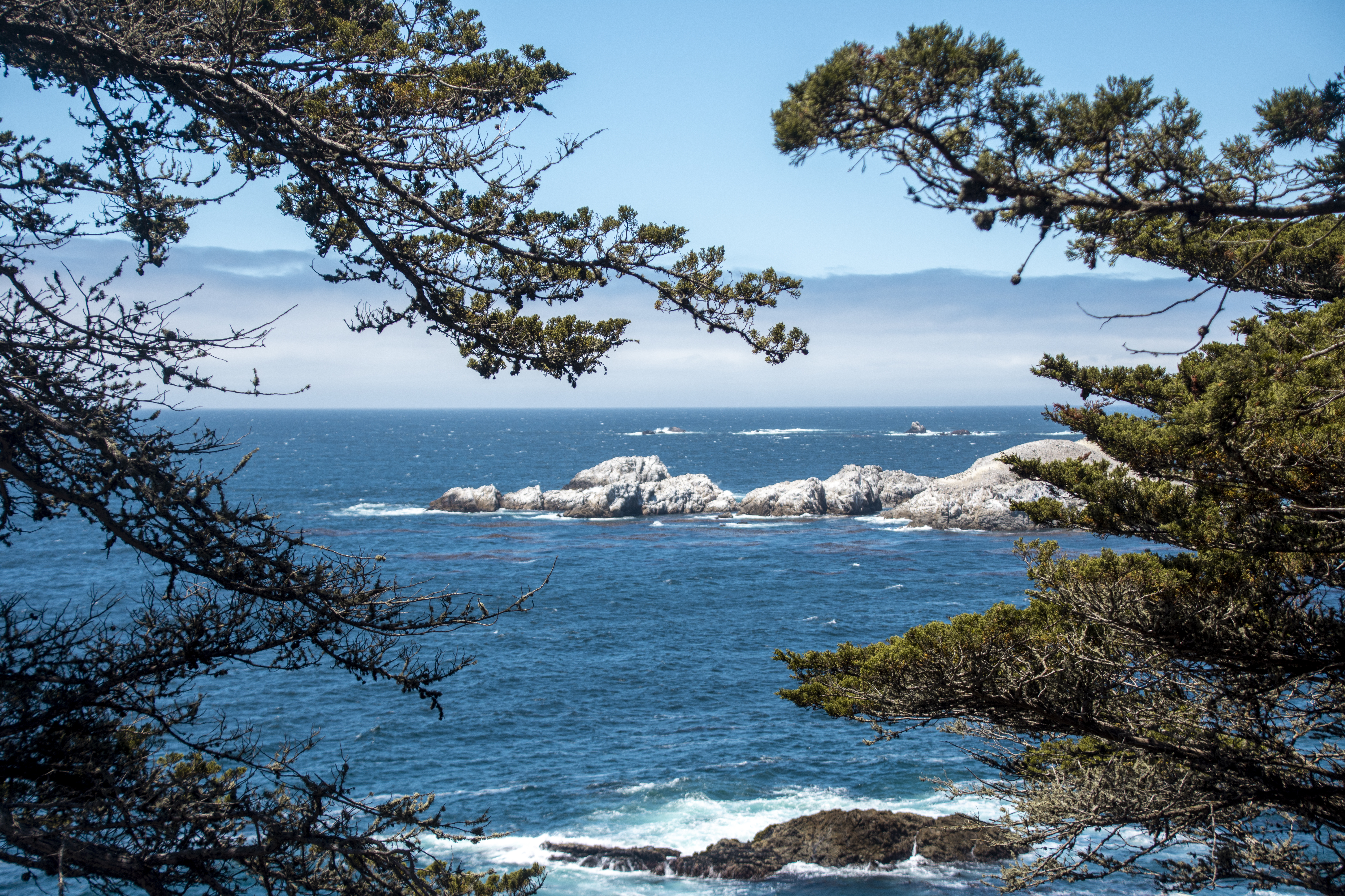 Rock formations through the trees off the coast of California