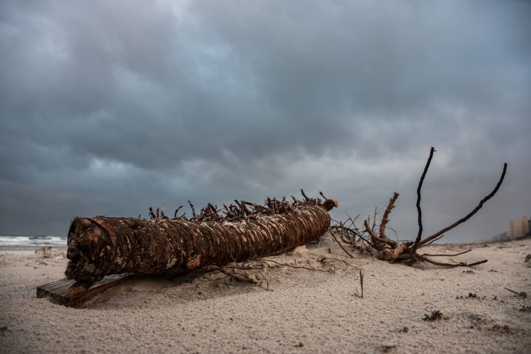 Fallen log and branches on a beach with a moody sky