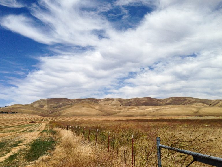 Hills near Morgan Territory Rd