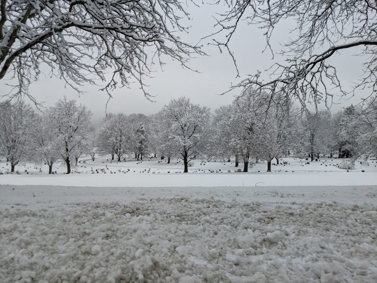 Cemetery in the snow