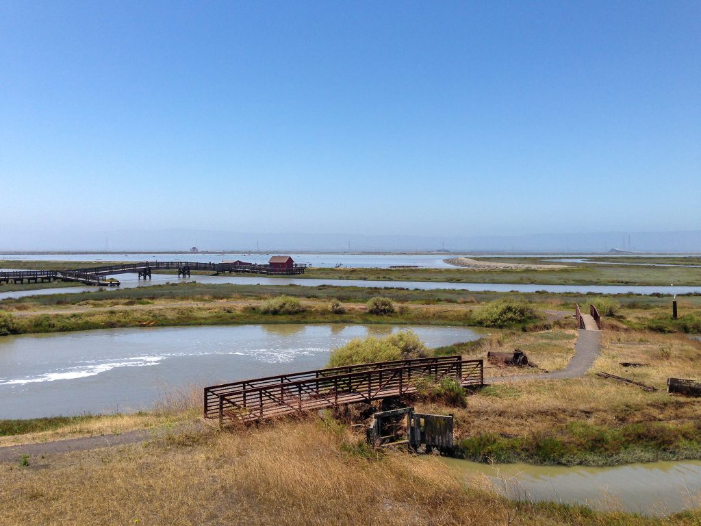 Don Edwards San Francisco Bay National Wildlife Refuge
