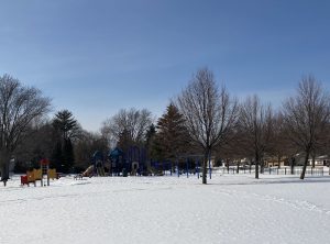 A view of a park in sunny winter day