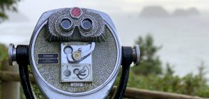 Silver Coastal Telescope View Finder